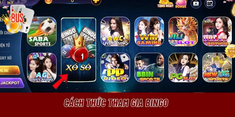 Tham gia Bingo Roll tại 8US đơn giản chỉ với vài bước 