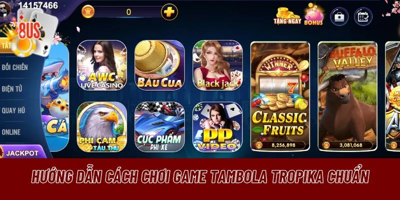 Hãy bắt đầu trải nghiệm với game Tambola Tropika tại 8US