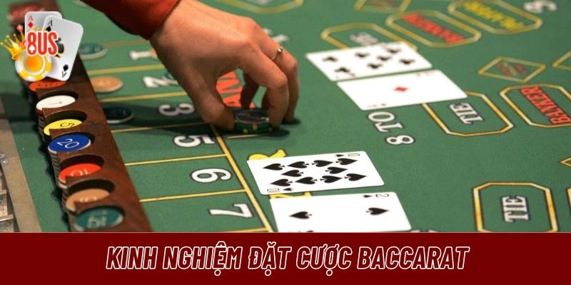 Các chiến thuật đặt cược Baccarat bet thủ nên biết 