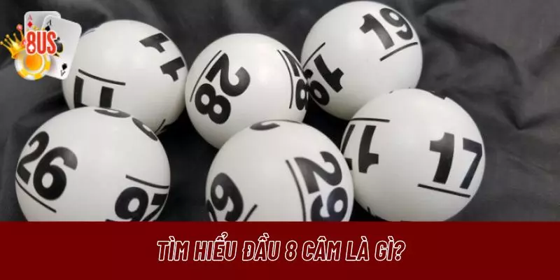 Tìm hiểu đầu 8 câm là gì?